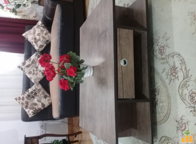 مجری تاسیسات استخر در محلات