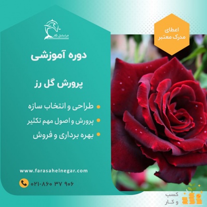دوره آموزشی گل های شاخه بریده رز هلندی در تهران