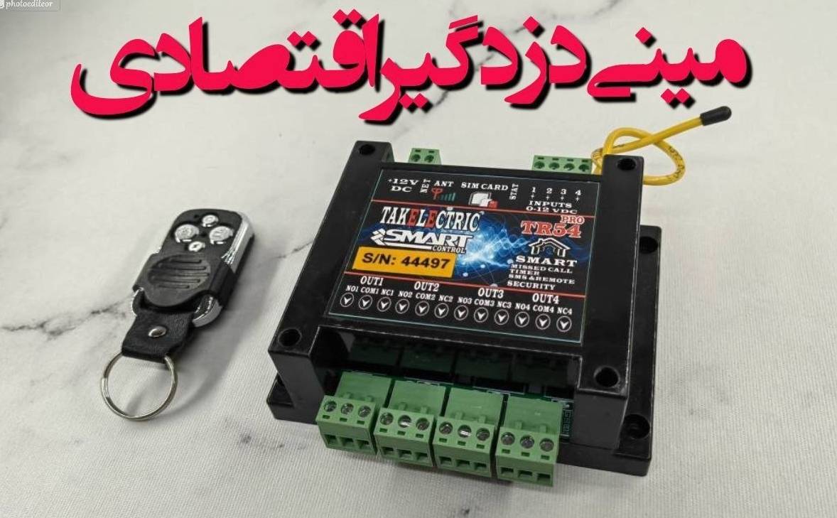 دزدگیر اقتصادی تک الکتریک