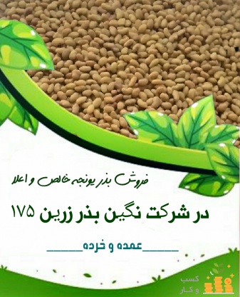 فروش انواع بذر یونجه در مازندران