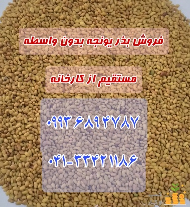 فروش بذر یونجه درجه یک در پارس آباد