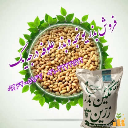فروش بذر یونجه حضوری و آنلاین