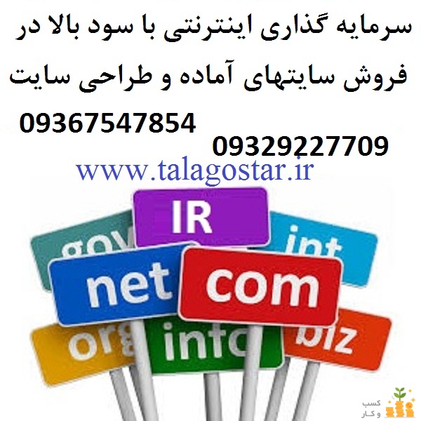 سرمایه گذاری با سود بالا در شغل پرسود اینترنتی
